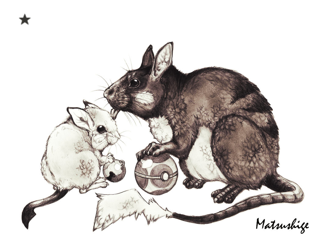 pichu_and_raichu_by_faeriesoda