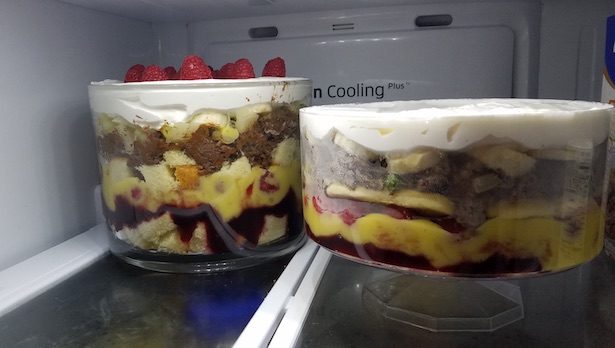 I Made My Own FRIENDS Eat Rachel's Beef Trifle_8