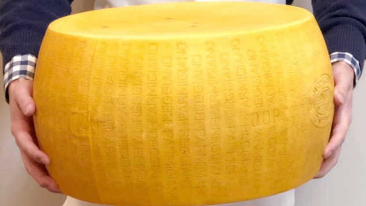 How Big Is A Wheel Of Parmesan Cheese At Scott Steward Blog