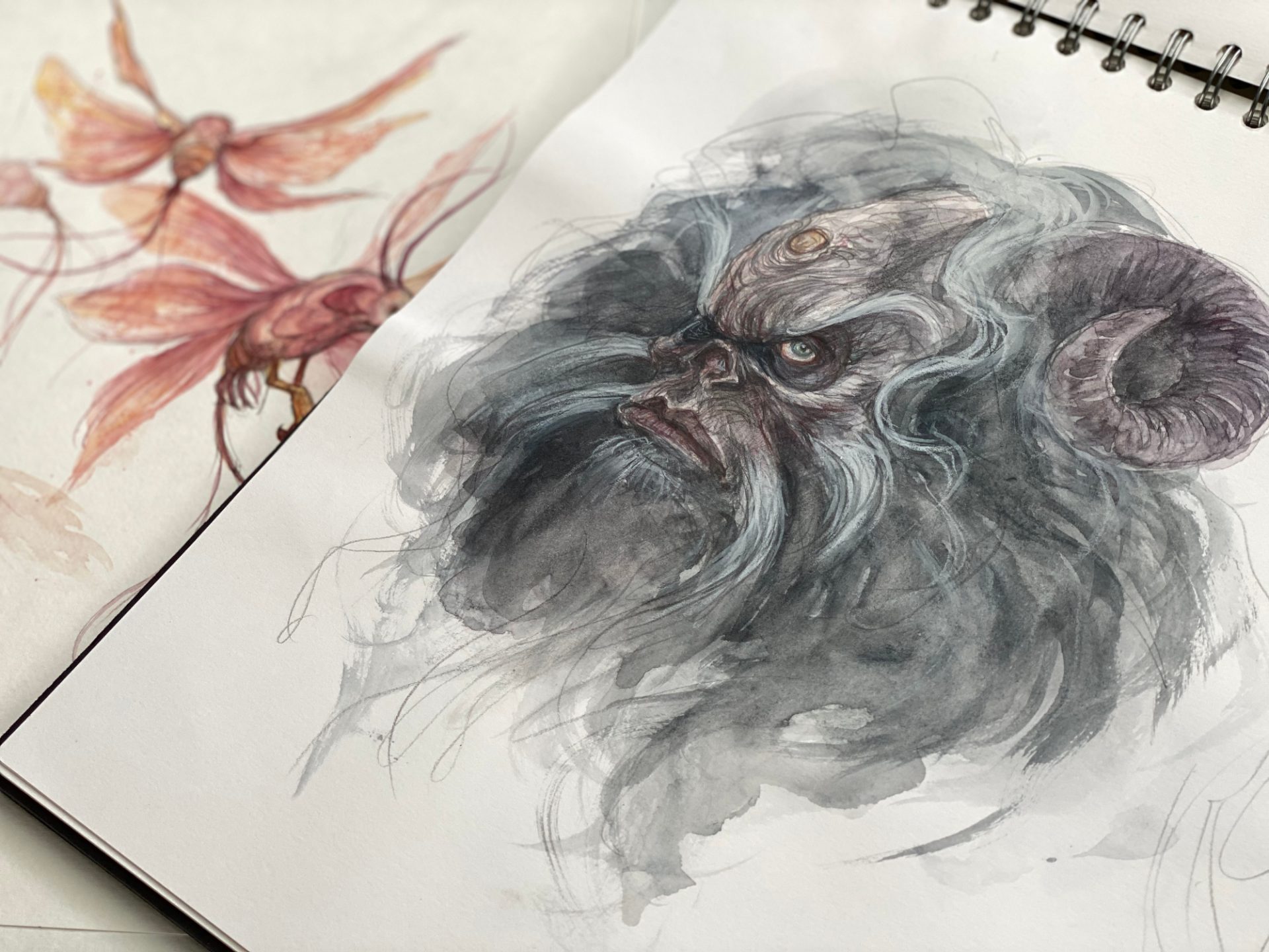 Brian Froud Sketches Brian Froud Sketches