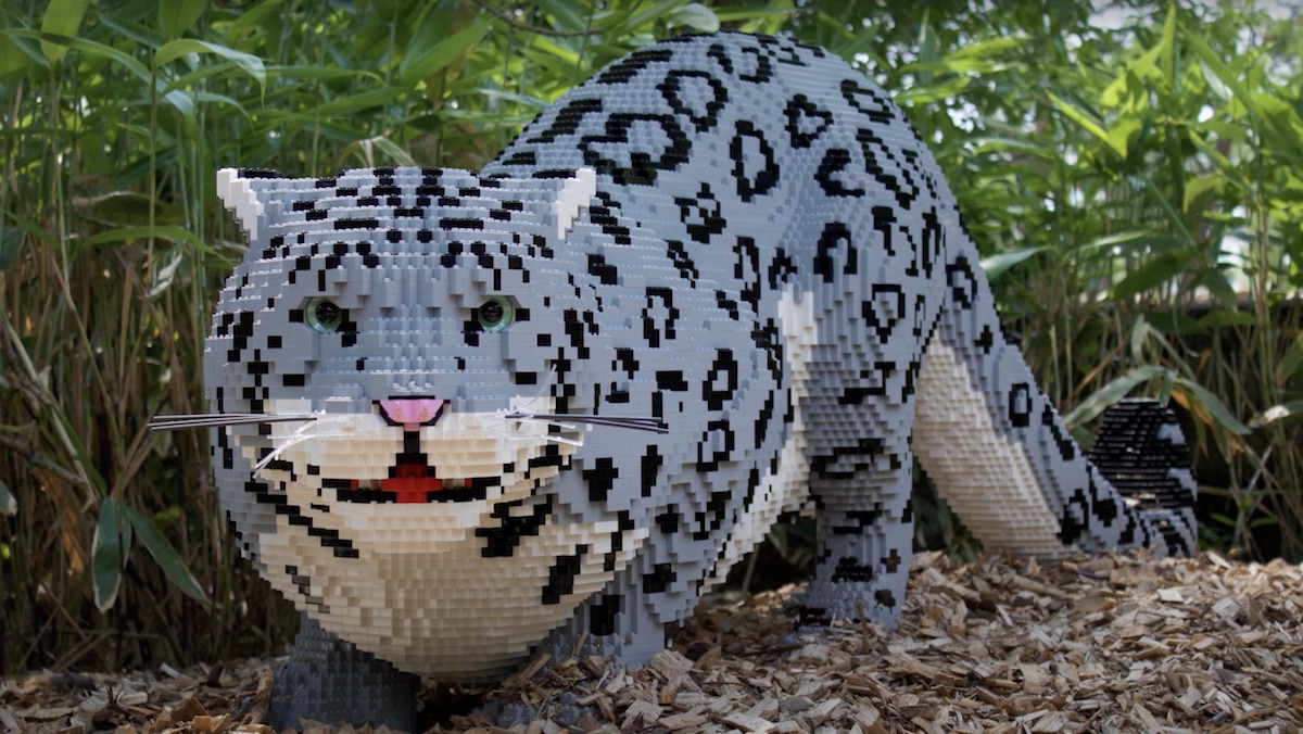 LEGO Master Builds Amazing Exhibit of Animal Pieces_5