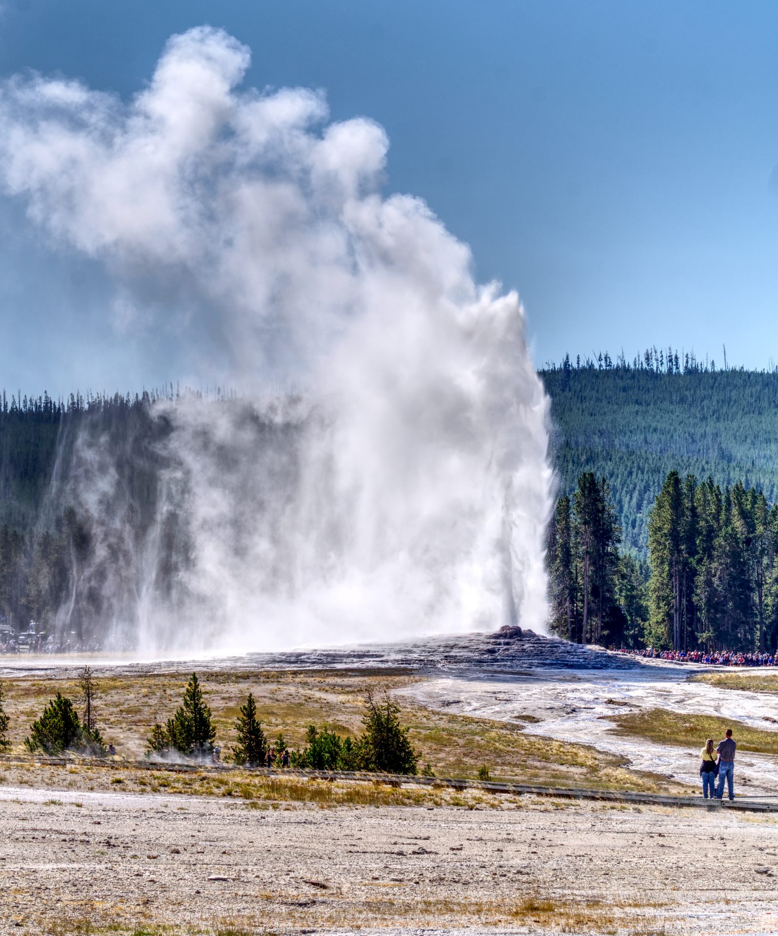 Old Faithful erupting