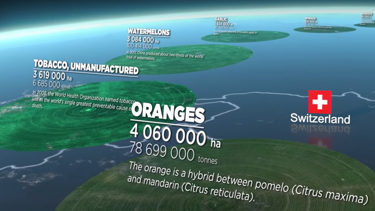 This new video from YouTuber, MetaBallStudios, shows a size comparison of the harvested lands required for different crop types.