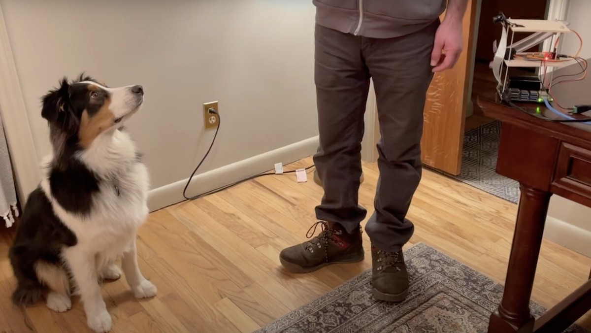 Machine Uses AI to Reward Obedient Dogs With Treats_1