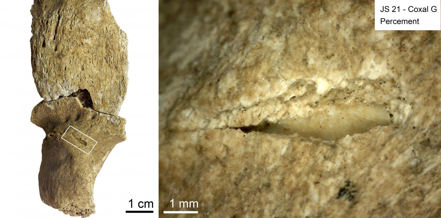 A team of French researchers has reanalyzed fossils from a 13,000-year-old combat cemetery and they say it was the result of sustained warfare over lifetime periods.