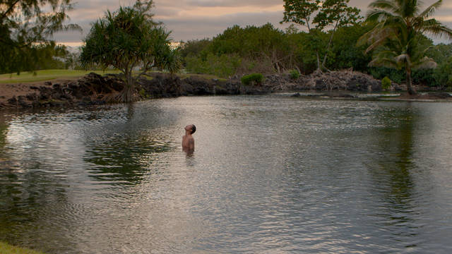 a man swims alone in a lake surrounded by green trees