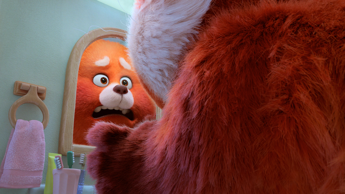 photo of an animated red panda looking in a mirror