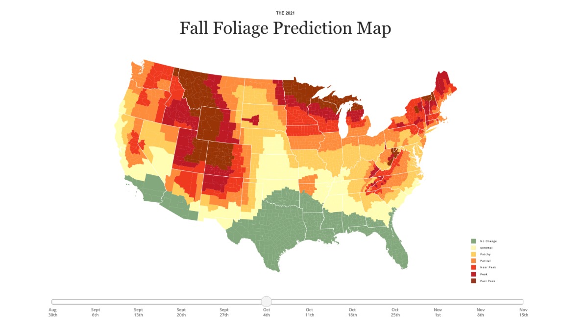 Fall Foliage Map - a multicolored map that shows predictions for autumn trees