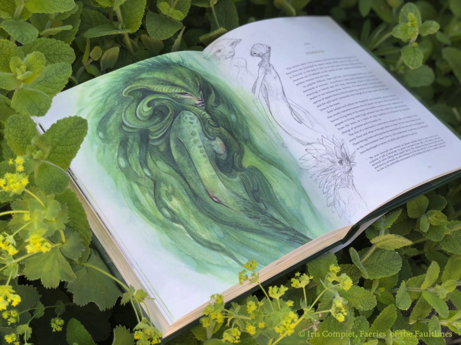 Journey into FAERIES OF THE FAULTLINES with Iris Compiet - Nerdist