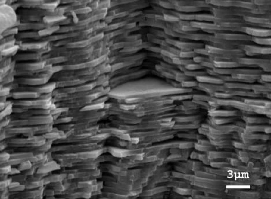 A microscopic look at a fracture in a piece of nacre, which looks like a bunch of stacked cobblestones on this scale.