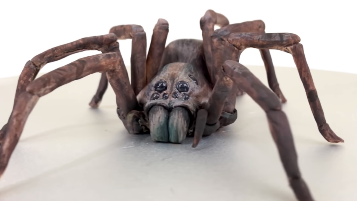 A giant spider wolf cake