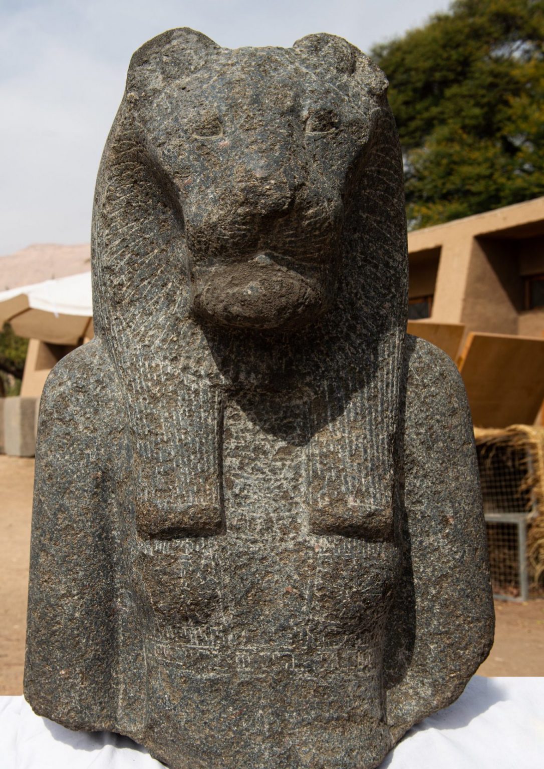 Newly Found Colossal Statues Portray Ancient Egyptian King as Sphinx
