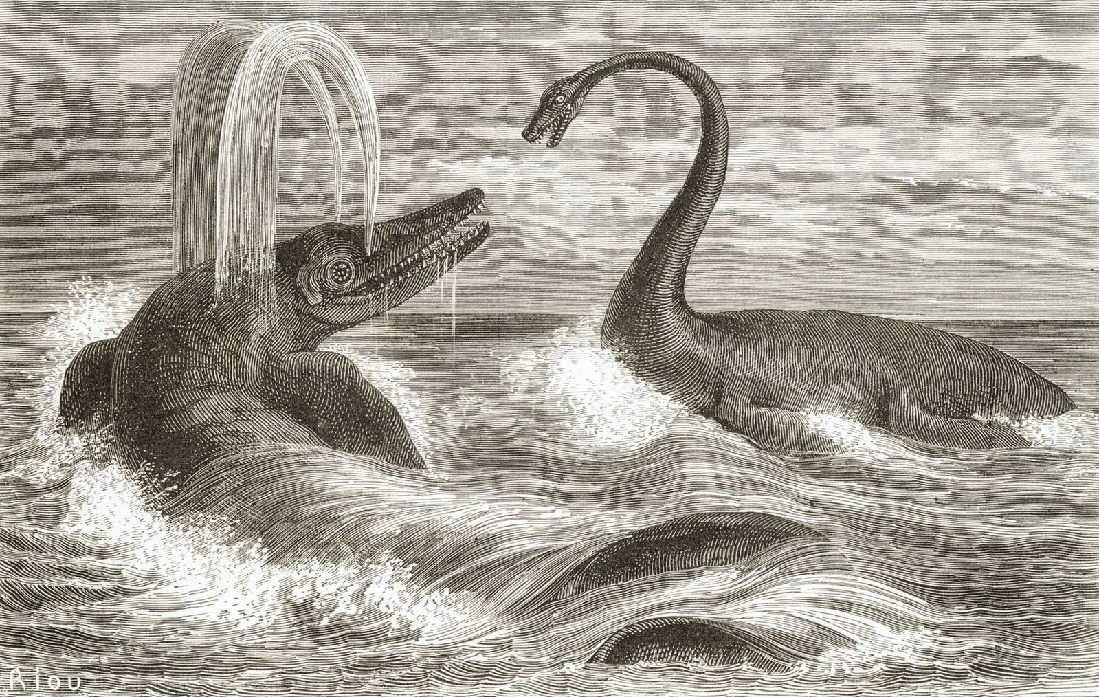 An illustration of an Ichthyosaur, or Sea Dragon, one of which was recently discovered in Great Britain by a conservation leader.