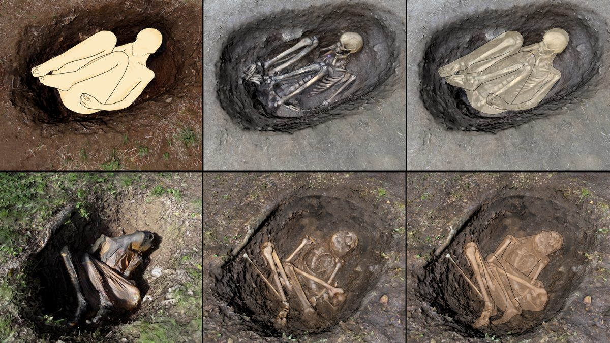 Top row shows the progression of buried body, bottom row a mummified body