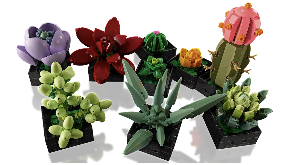 LEGO Orchid and Succulents join the LEGO Botanical Collection in 2022 -  Jay's Brick Blog