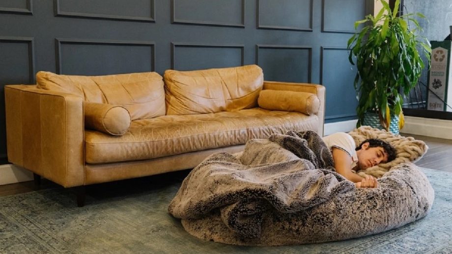 You Can Now Buy Your Own HumanSized Dog Bed Nerdist