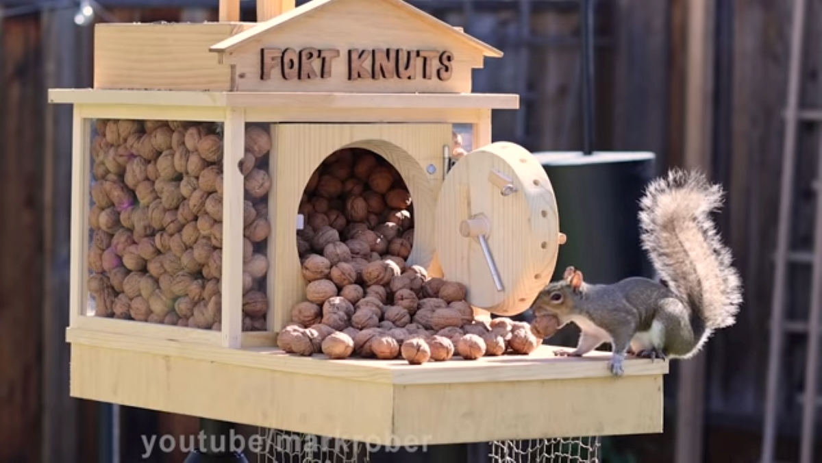 A squirrel eating from a pile of walnuts outside a safe labeled Fort Knuts