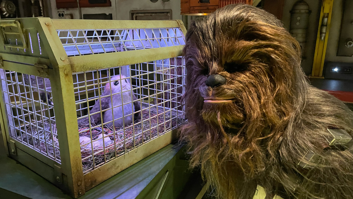 Chewbacca poses with a cute porg in the Star Wars Cargo Bay