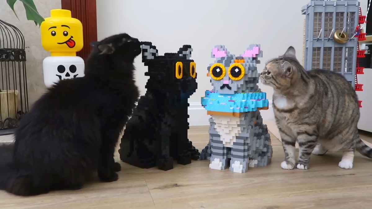 A black cat and a stripey cat meet the life-sized LEGO versions of themselves