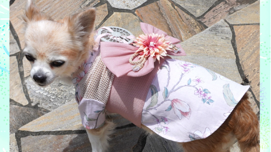 Keep Your Pets Super Chill with These Wearable Fans Nerdist