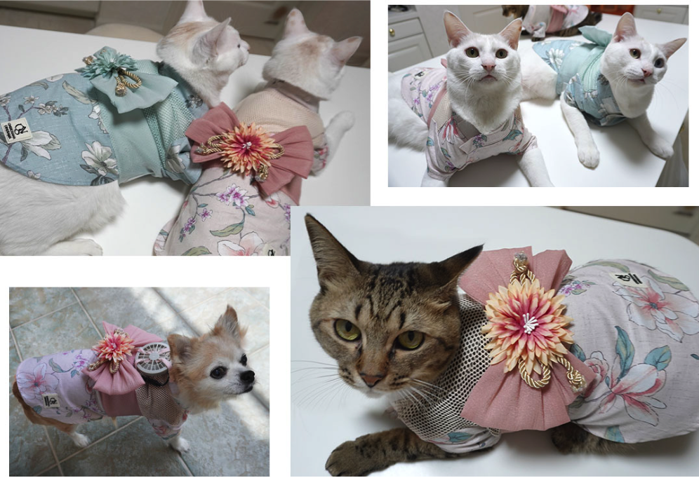 Four images of cats and small dogs wearing a shirt with a cooling fan included from a line of pet clothes with wearable fans