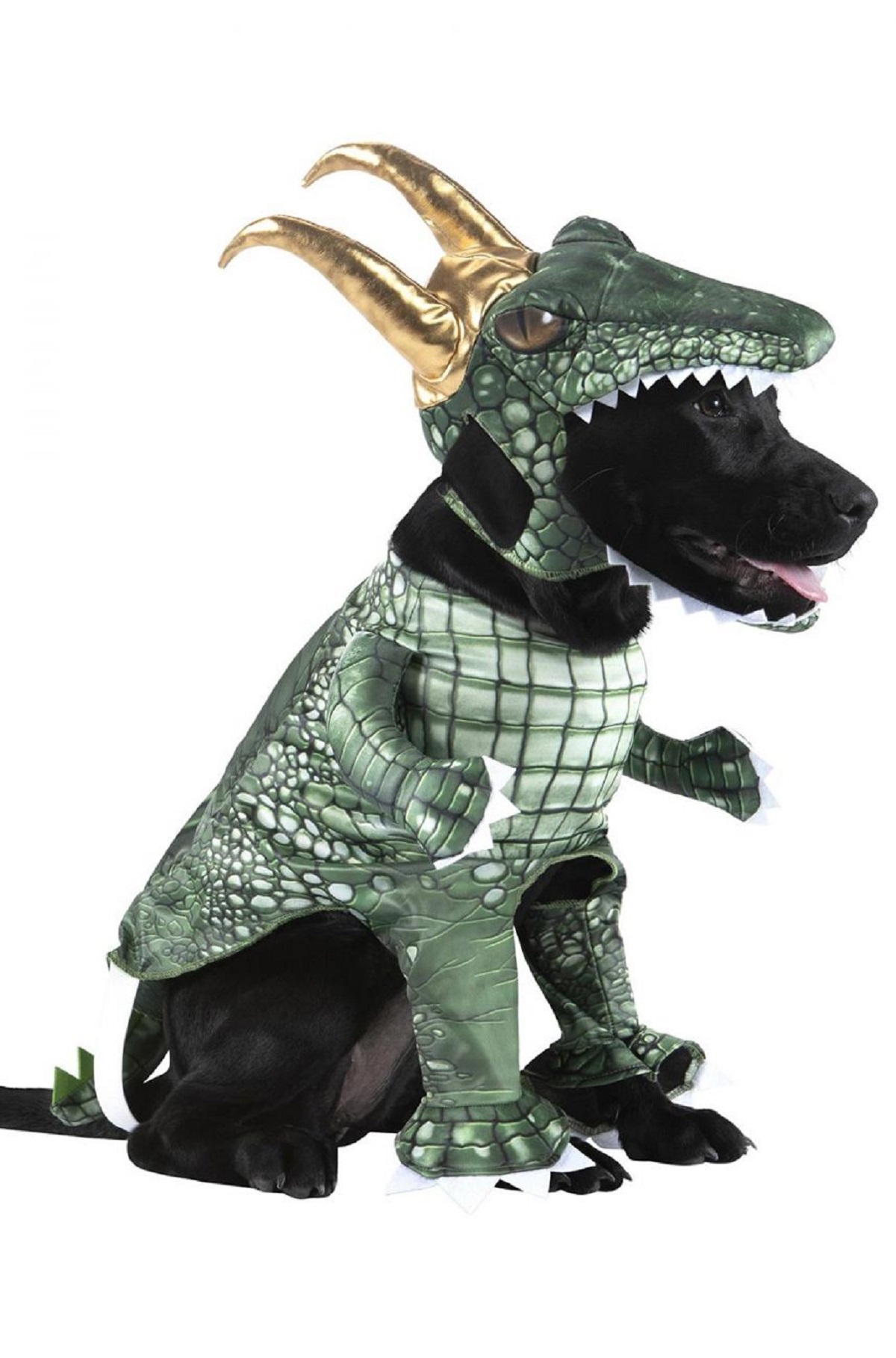 crocodile dog outfit