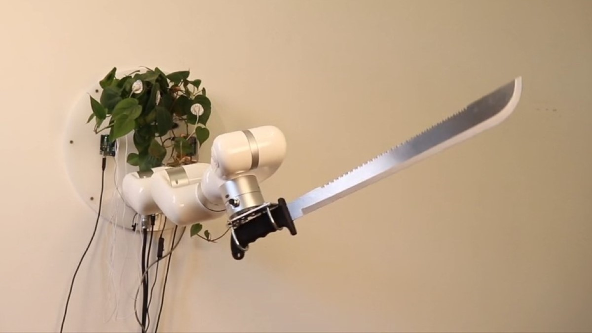 A plant hanging from a white wall is connected to a jointed robotic arm holding a machete