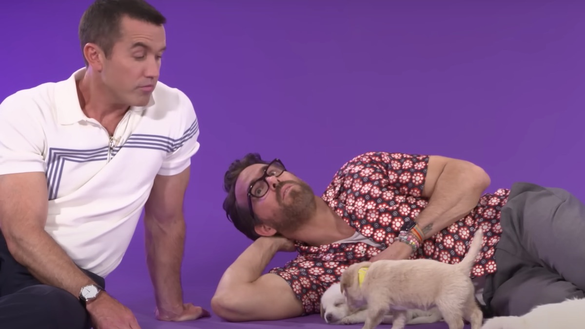 Rob McElhenney sits while Ryan Reynolds lies down looking at him while playing with puppies