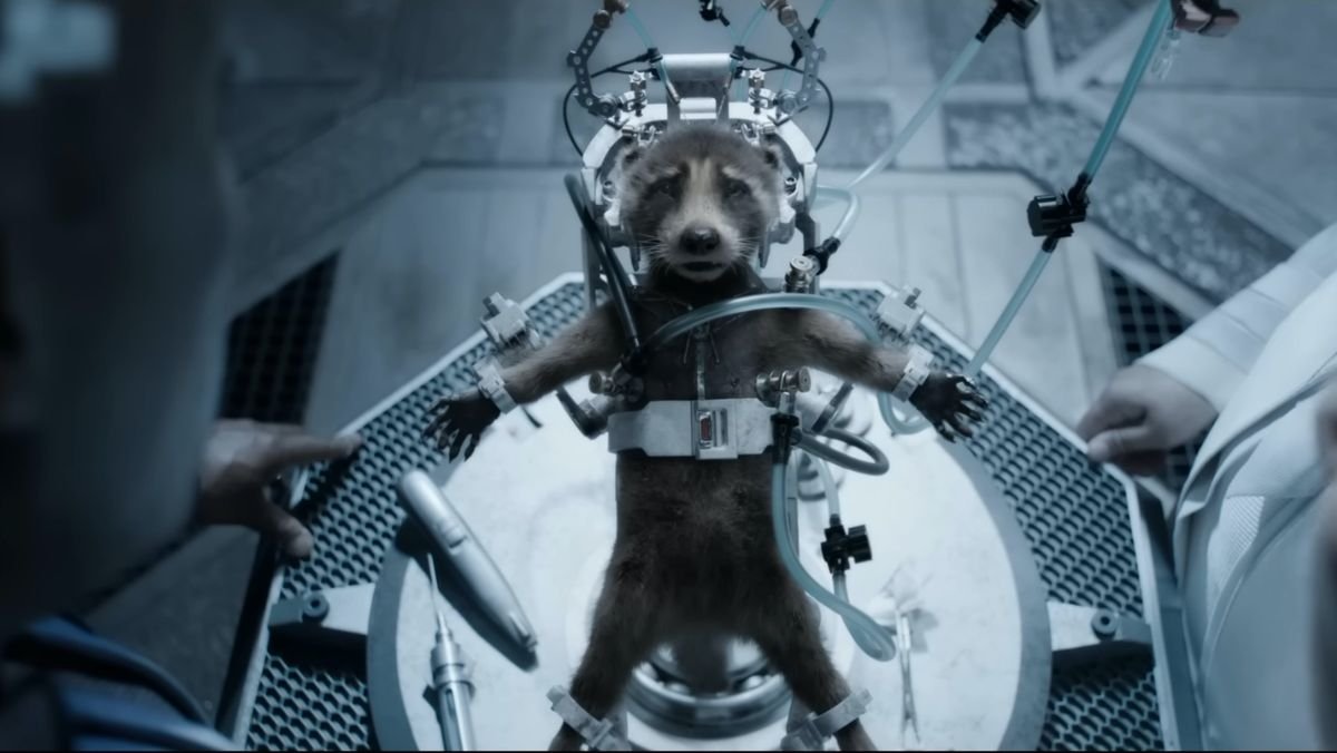 What GUARDIANS OF THE GALAXY VOL. 3 Revealed about Rocket's Backstory ...