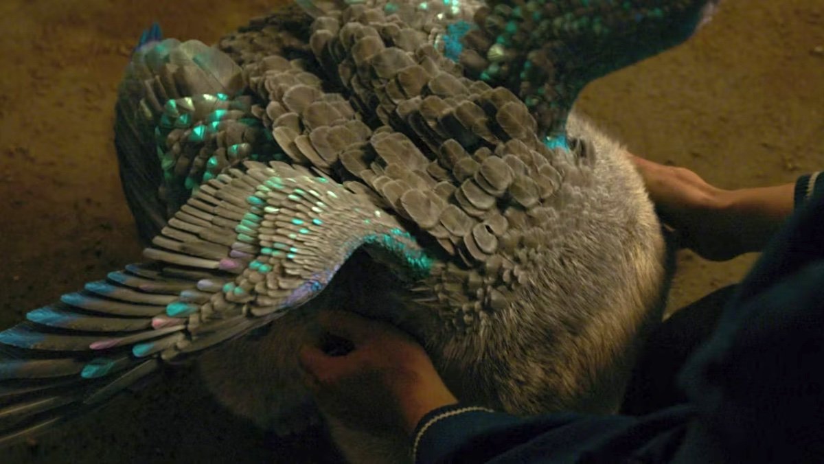 An eyeless round animals with colorful wings being petted by Shang-Chi