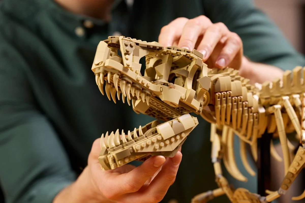The opening and closing jaws of the LEGO Jurassic World T-rex fossil head.