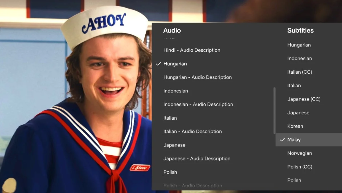 Stranger Things Netflix subtitling and dubbing options to learn a new language