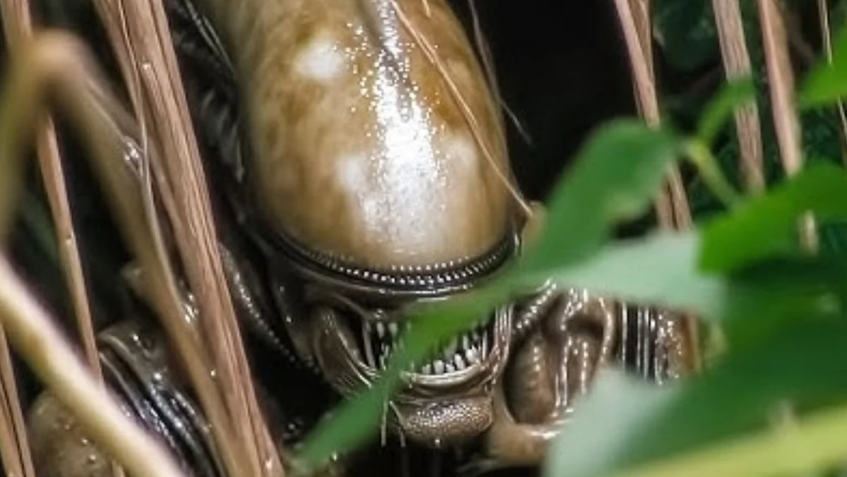 Alien-Earth-jungle-attack-Xenomorph-1.webp